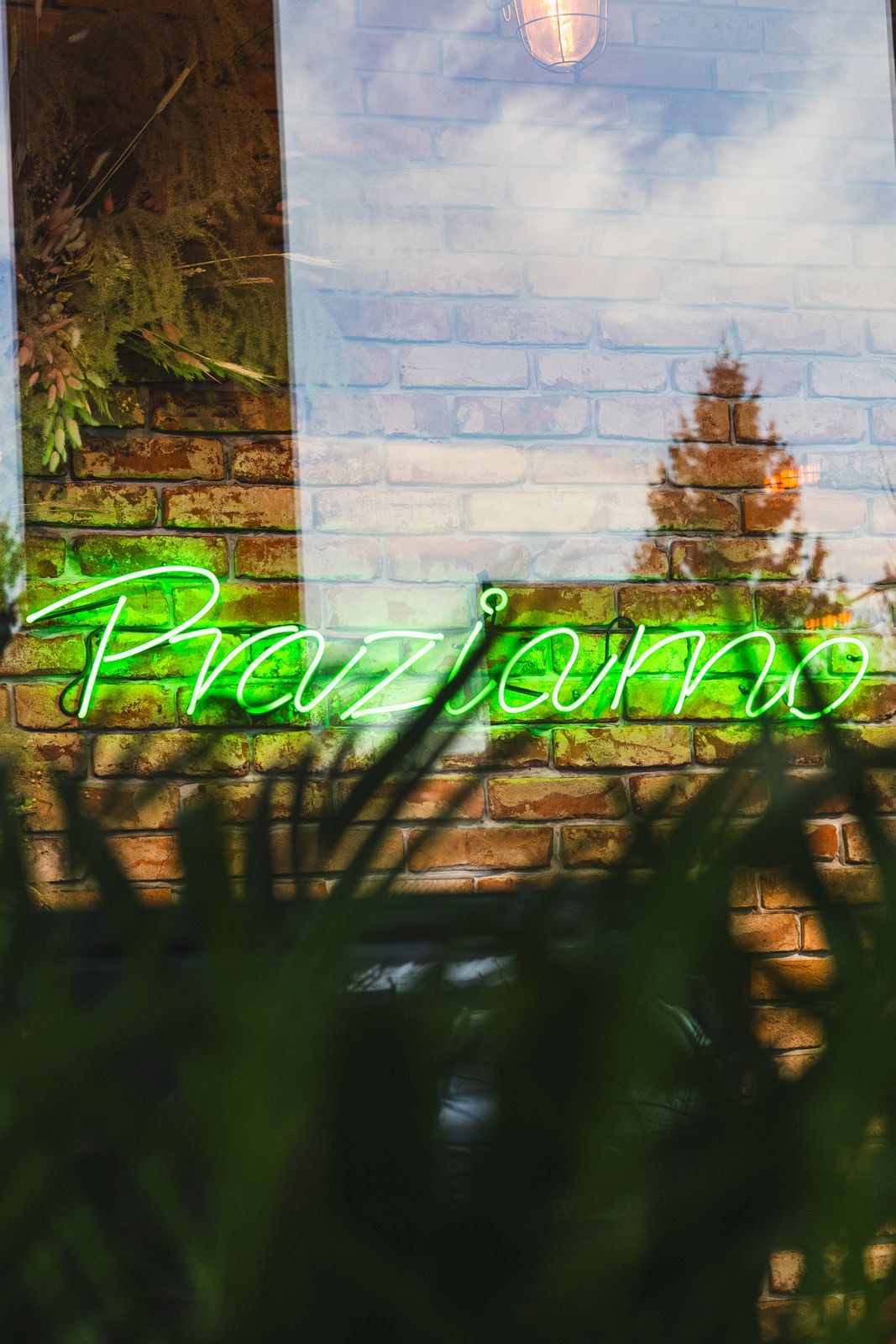 Praziarno Bistro & Bakery