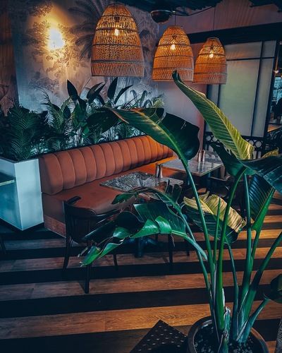 KOHANA Rum & Kitchen
