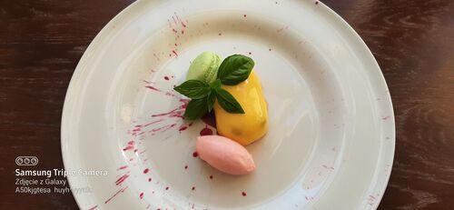 The Olive - Hotel Ilan