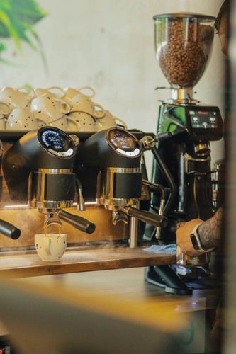 Yerba Café (Bulvary Książęce)