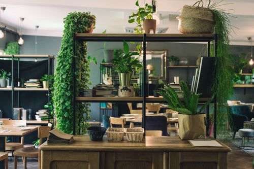 LAS - Lokalna Atrakcja Stolicy