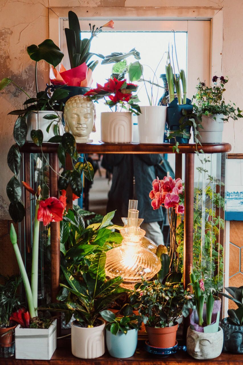 TUTAJ - klubokawiarnia&bistro